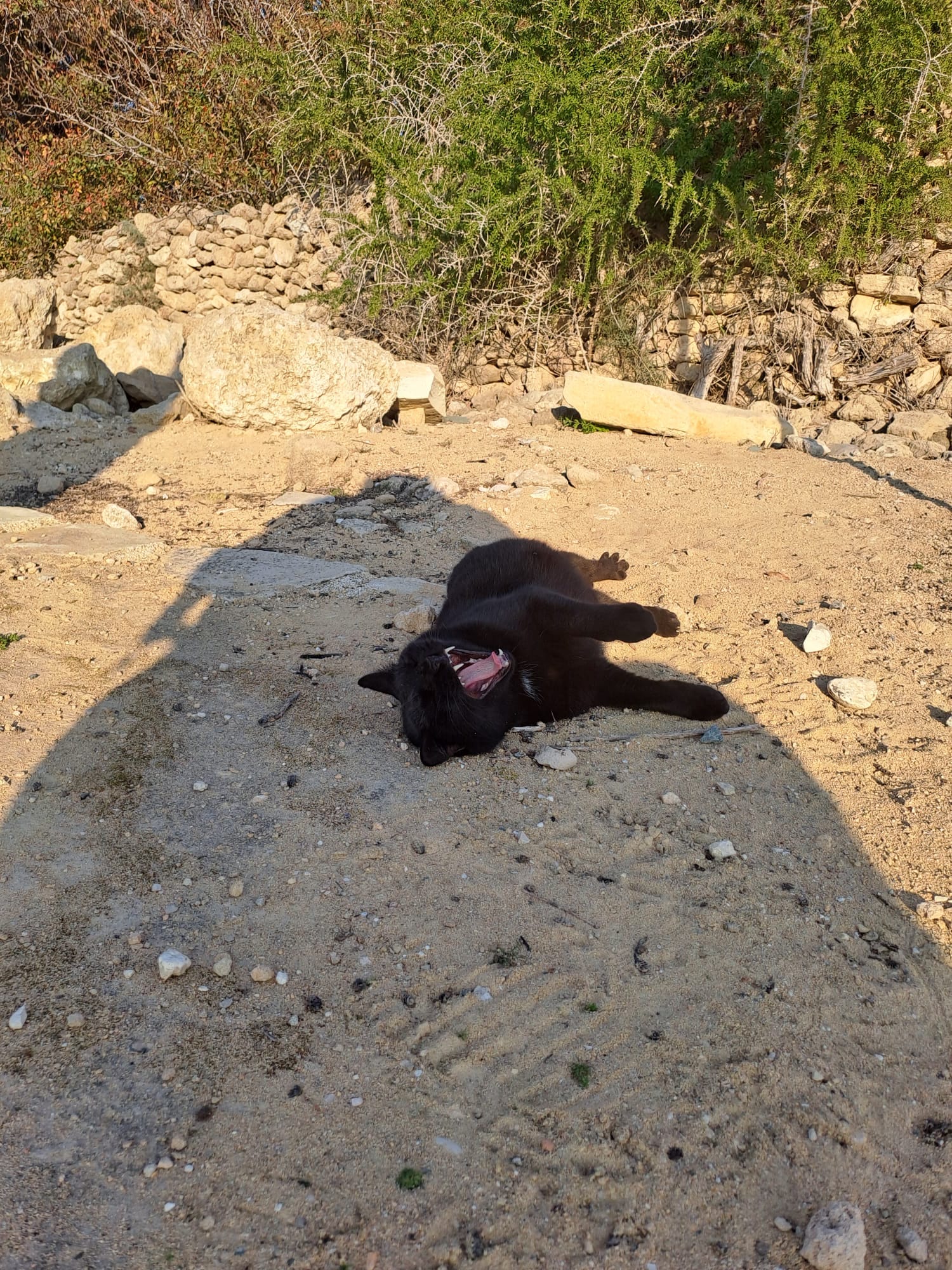 Paphos: Von der Sonne geküsst